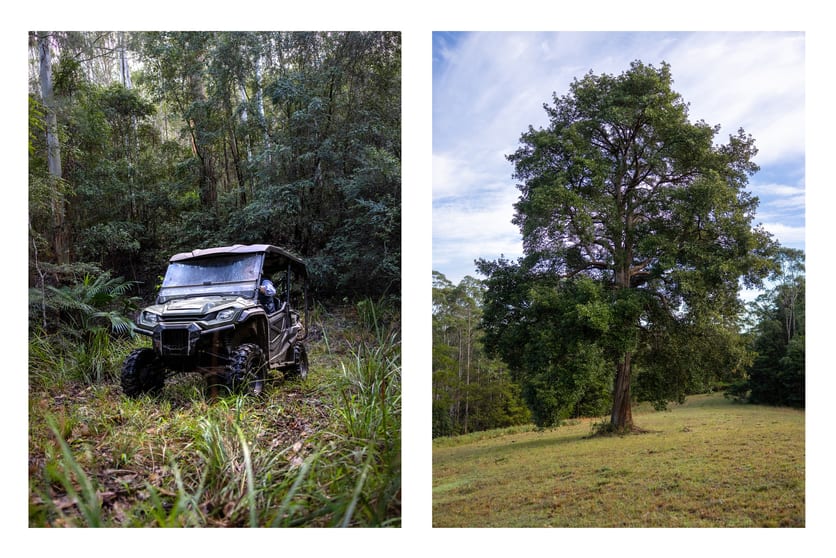 Click to view all images 229 Wattley Hill Road Wootton NSW 2423 - Image 3