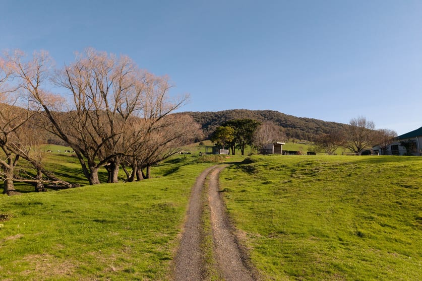 Click to view all images 5494 Kiewa Valley Highway Running Creek VIC 3691 - Image 3