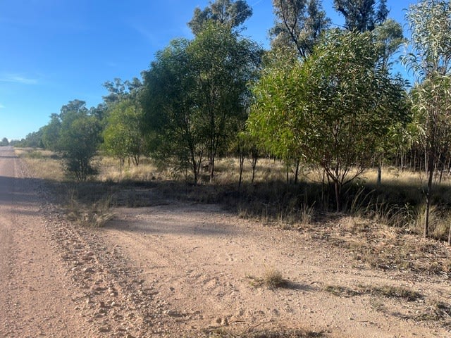 Click to view all images Lot 7 Cartens Lane Tara QLD 4421 - Image 2