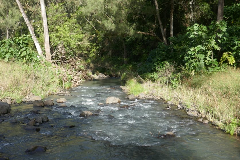 Click to view all images 1108 Eden Creek Road Kyogle NSW 2474 - Image 2
