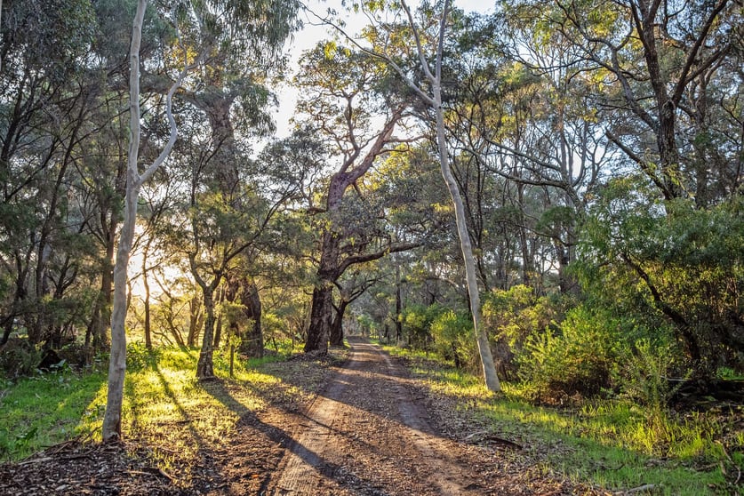 Click to view all images 546 Boodjidup Road Redgate WA 6286 - Image 1