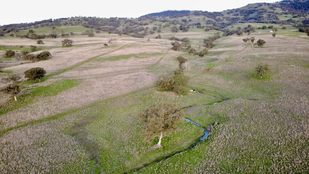 "AVOCA" Presses Road Willow Tree NSW 2339 - Image 2