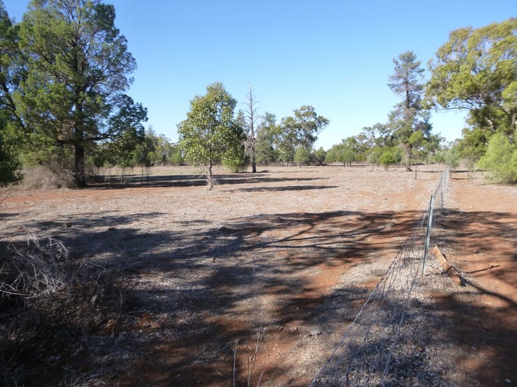 Lot 58 Rankin Springs Road Lake Cargelligo NSW 2672 - Image 1