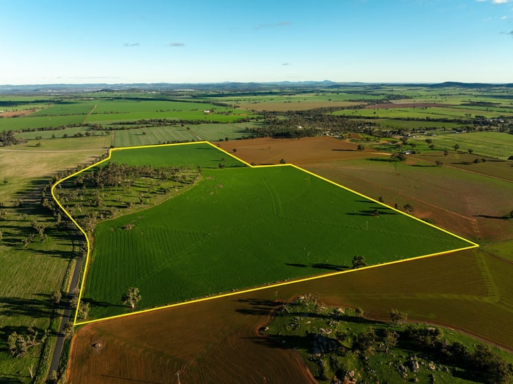 126 Coursing Park Road Downside NSW 2650 - Image 1