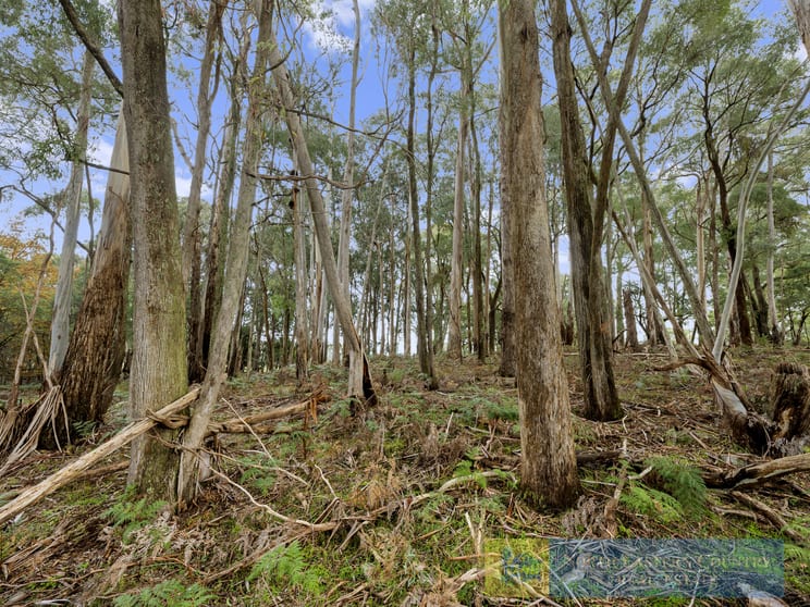 Click to view all images Lot 1 & 2 McCombes Road Creek Junction VIC 3669 - Image 3