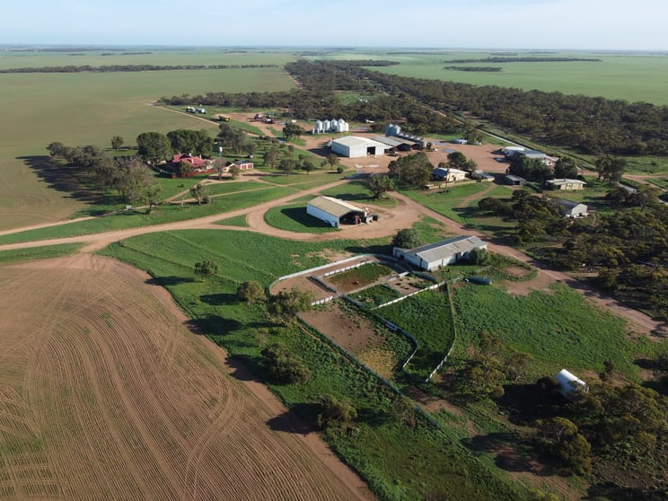 Click to view all images 42666 Eyre Highway Mudamuckla SA 5680 - Image 1