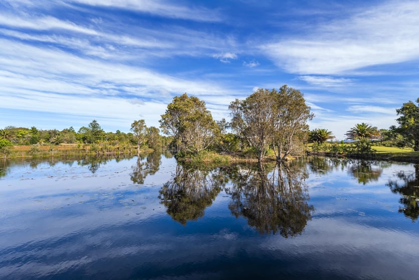 Click to view all images 471 Red Rock Road Red Rock NSW 2456 - Image 2