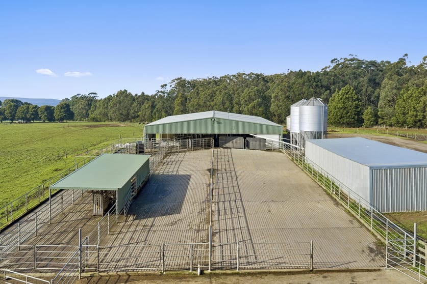 Click to view all images 999 Centre Road Cooriemungle VIC 3268 - Image 3
