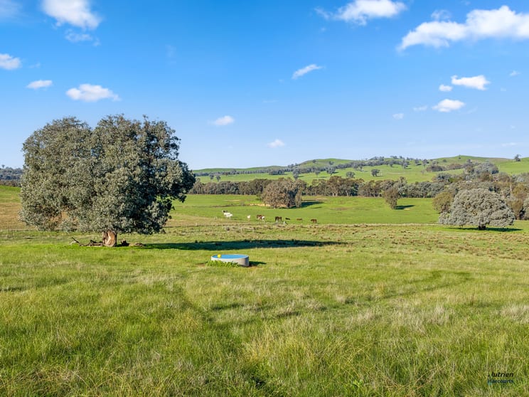 CA 9 Winton-Lurg Rd Lurg VIC 3673 - Image 2
