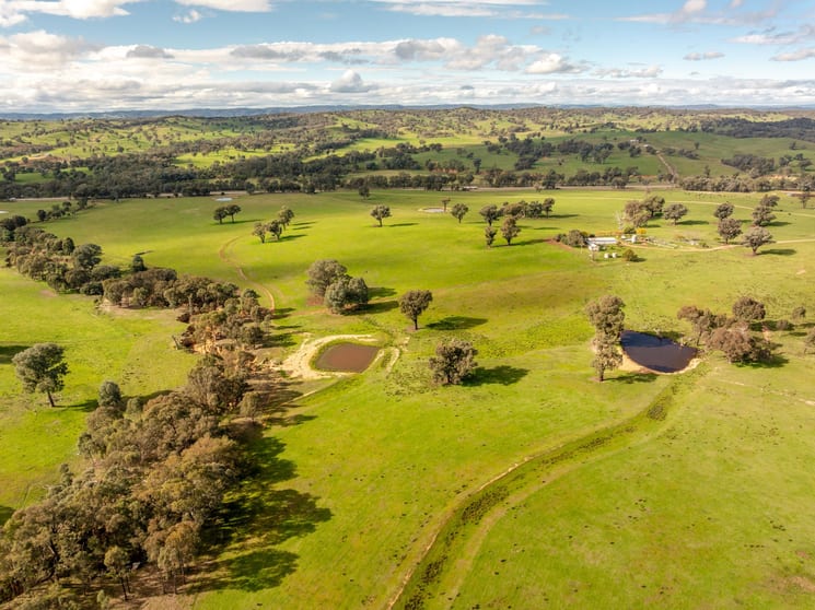 6096 Hume Highway Kyeamba NSW 2650 - Image 3