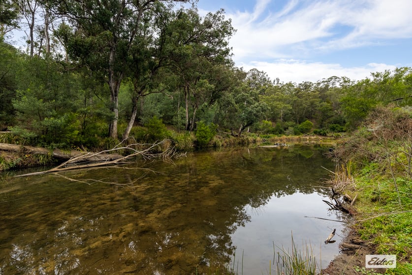 Click to view all images 616 New Buildings Road Wyndham NSW 2550 - Image 3