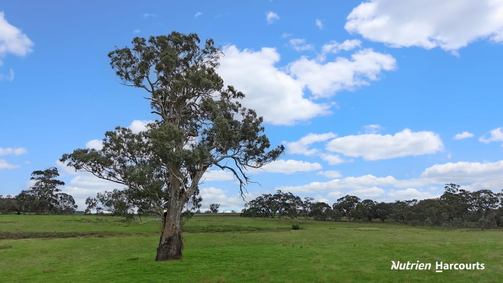 Click to view all images 411 Casterton - Dartmoor Road Bahgallah VIC 3312 - Image 3