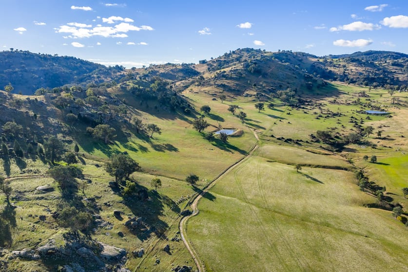 Click to view all images 185 Trout Farm Road Wyangala NSW 2808 - Image 2