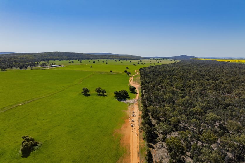Click to view all images 1147 Kamarah Road Narrandera NSW 2700 - Image 1
