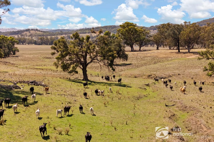 365 Erudgere Lane Mudgee NSW 2850 - Image 2