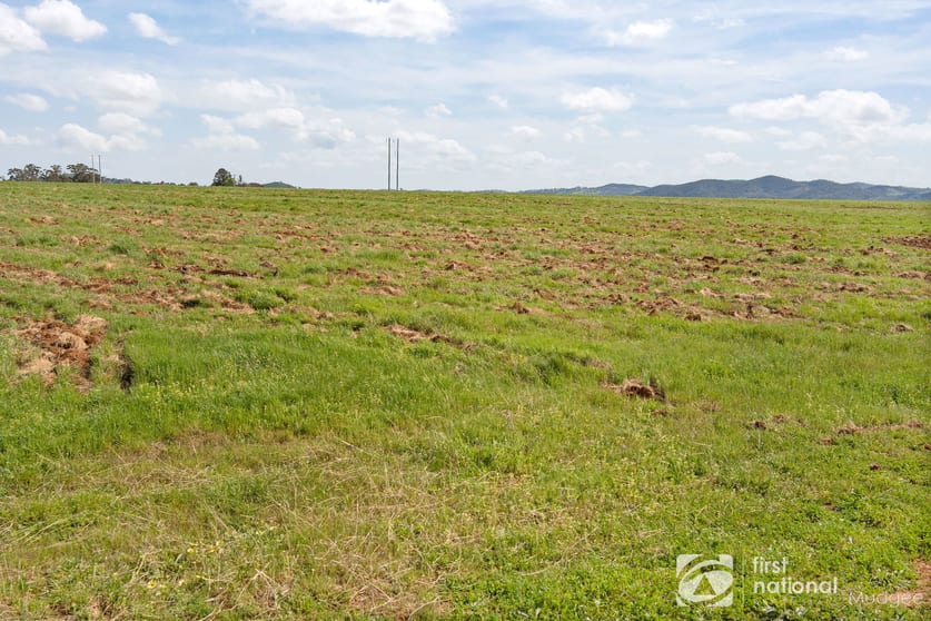 70 Shiraz Drive Gulgong NSW 2852 - Image 3