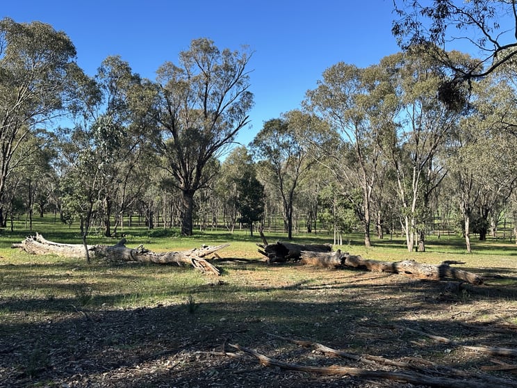 Click to view all images Lot 91 County Boundary Road Pleasant Hills NSW 2658 - Image 3