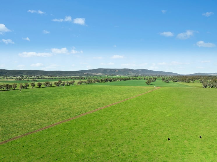 Click to view all images 3130 Adelargo Road Grenfell NSW 2810 - Image 1