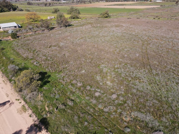 Click to view all images 317 Yarraby Road Nyah West VIC 3595 - Image 3