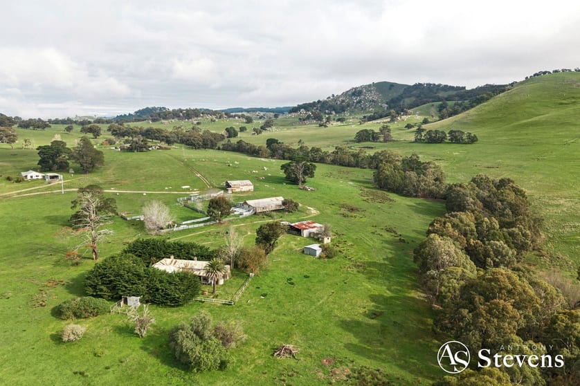 Click to view all images 160 Tooborac-Baynton Road Tooborac VIC 3522 - Image 3
