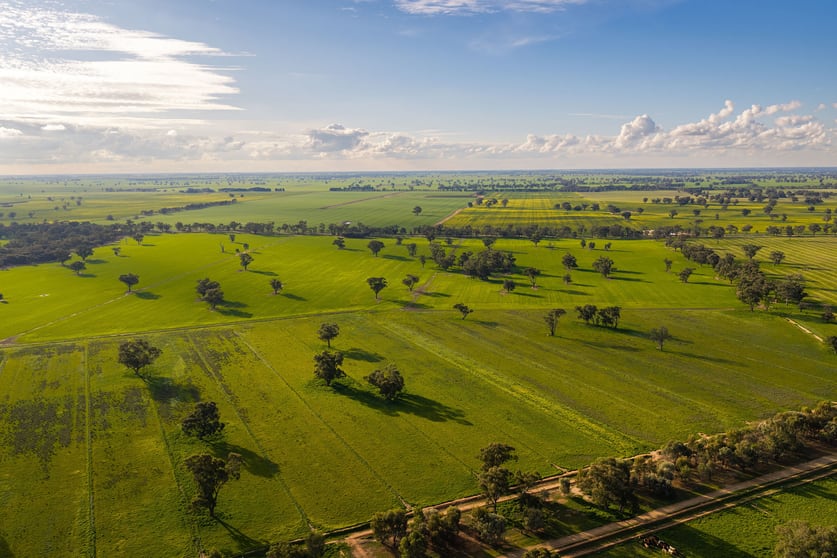 Click to view all images 1484 Centre Road Moama NSW 2731 - Image 2