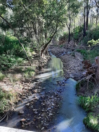 Click to view all images 171 Boonanghi Forest Road Wittitrin NSW 2440 - Image 1