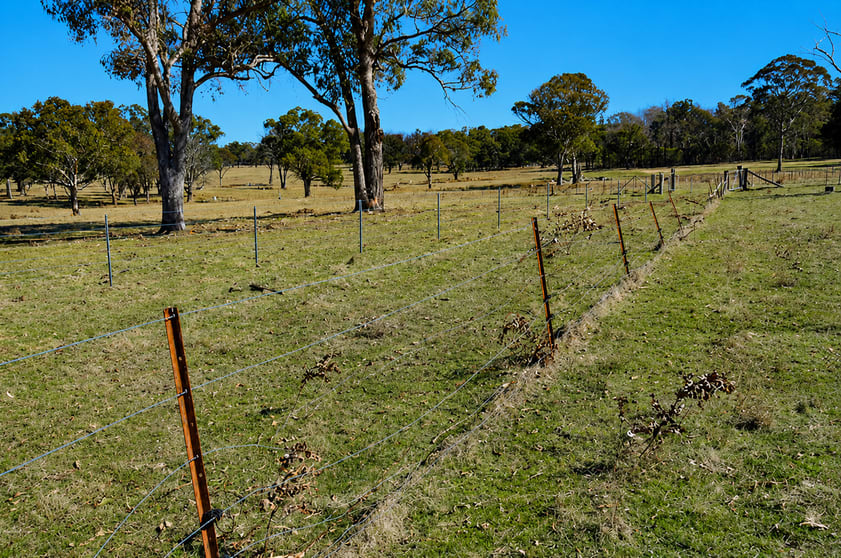 320 Cemetery Road Torrington NSW 2371 - Image 2