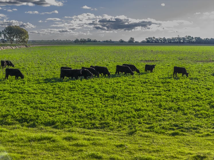 21R Nantilla Road Ballimore NSW 2830 - Image 1