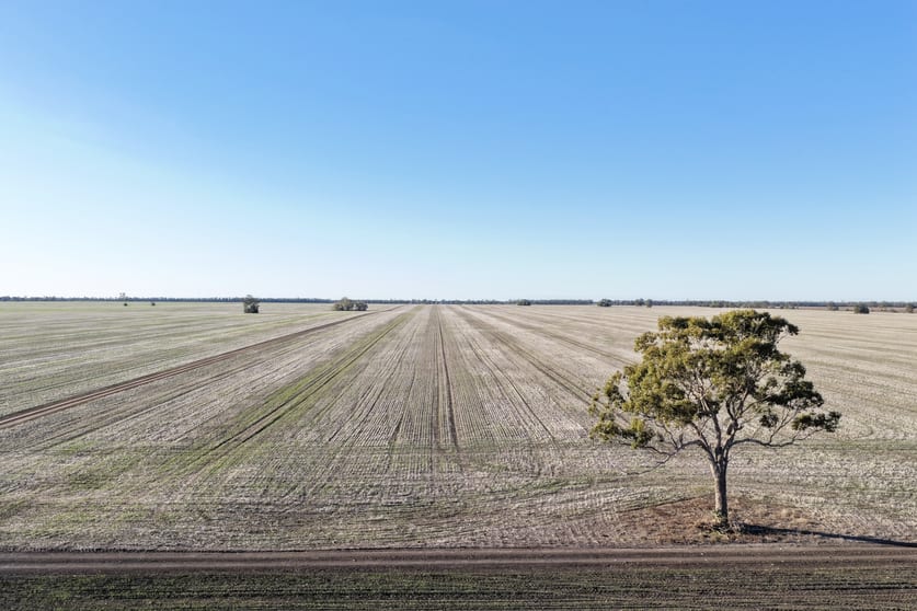 Click to view all images 26446 Newell Highway Moree NSW 2400 - Image 3