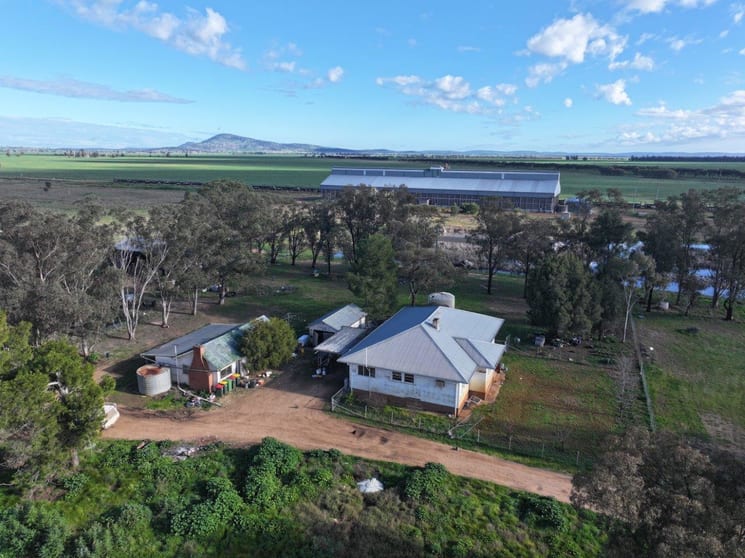 Click to view all images Stanley Park 327 Back Creek Road Forbes NSW 2871 - Image 3