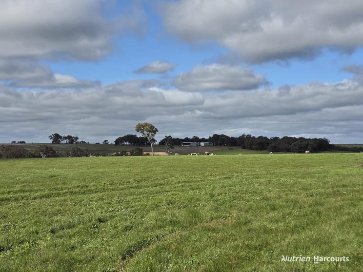 Click to view all images 57 Ward Place Frankland River WA 6396 - Image 2