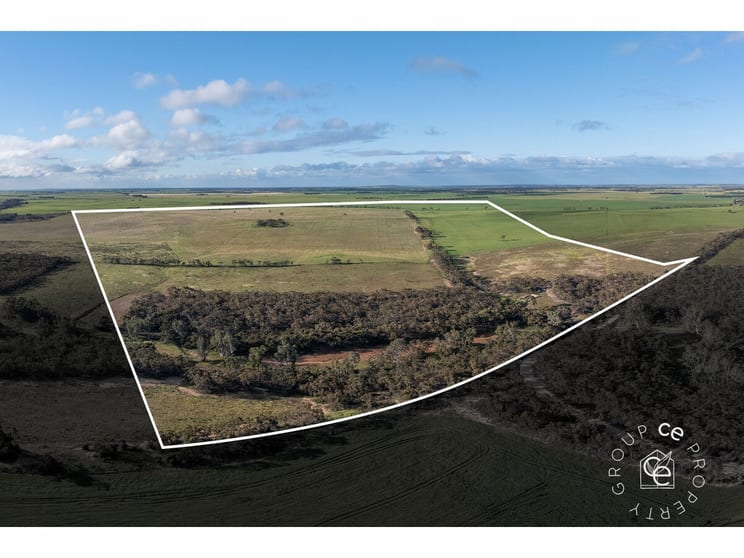 Click to view all images Lot 215 Schmaals Road Angas Valley SA 5238 - Image 1