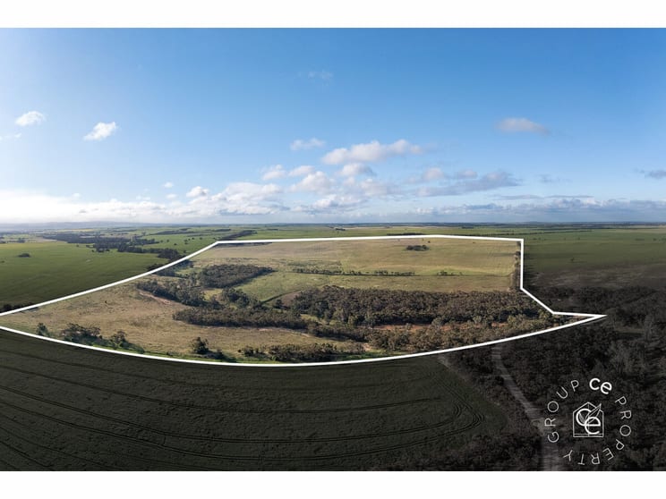 Click to view all images Lot 215 Schmaals Road Angas Valley SA 5238 - Image 1