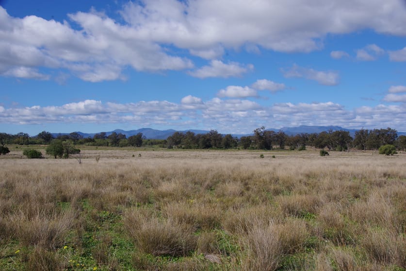 Click to view all images 433 Killarney Gap Road Narrabri NSW 2390 - Image 2