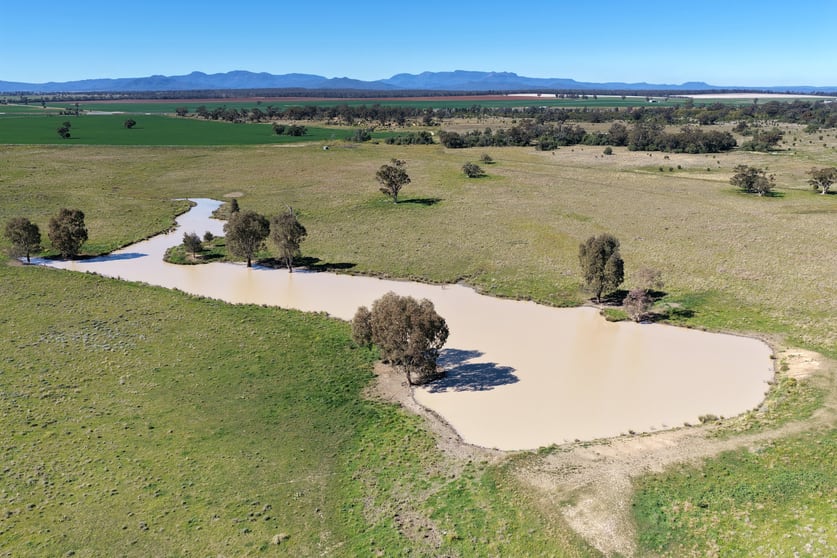 Click to view all images 625 Logans Lane Narrabri NSW 2390 - Image 2