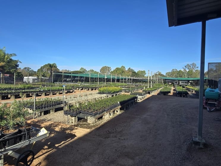 Nursery  business for sale in QLD - Image 2