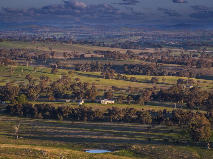 Click to view all images 51 Normanhurst Lane Boorowa NSW 2586 - Image 1