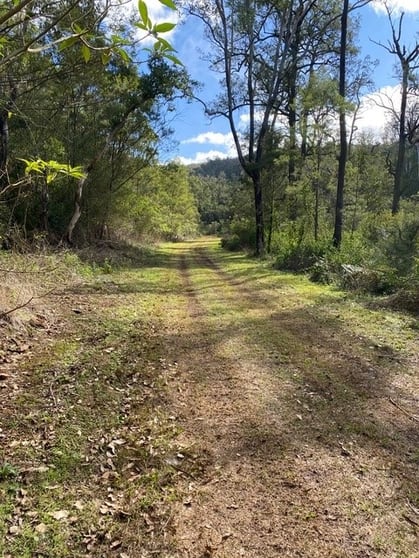 Lot 20 Top Swanfels Road Swanfels QLD 4371 - Image 3