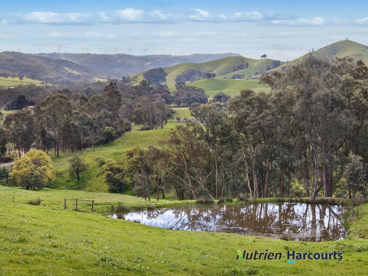 715 King Parrot Creek Road Strath Creek VIC 3658 - Image 1