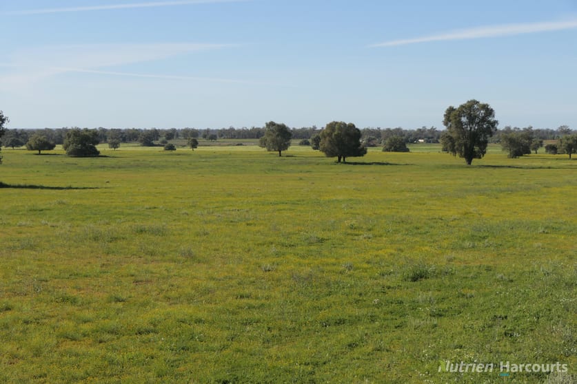 * KALLARA, 881 Kallara Road Hermidale NSW 2831 - Image 1