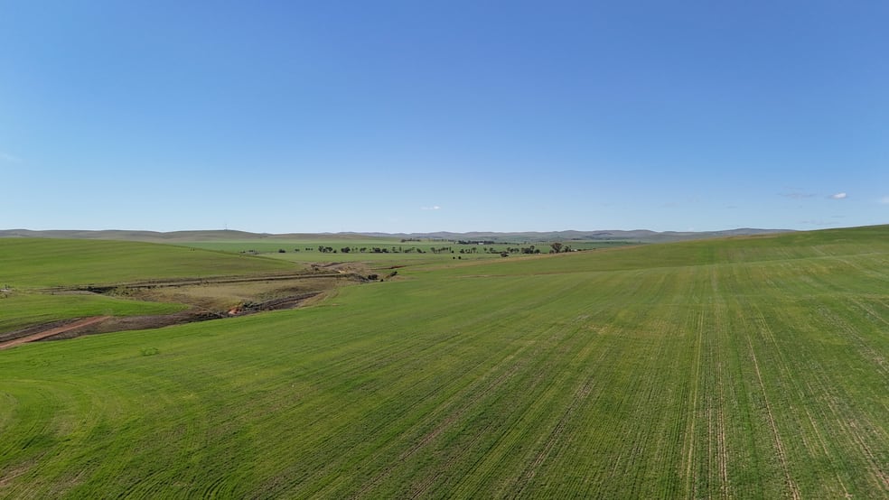 Click to view all images 'Siegerts' Section 3 Goyder Highway Spalding SA 5454 - Image 2