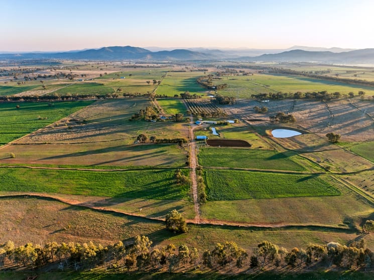 Click to view all images Weemala, 316 Newmans Lane Tamworth NSW 2340 - Image 2