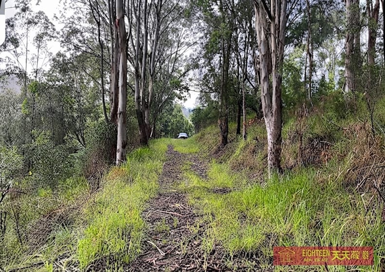 8416 Oxley Hwy Mount Seaview NSW 2446 - Image 3