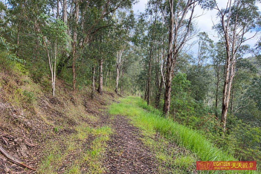 Click to view all images 8416 Oxley Mount Seaview NSW 2446 - Image 3