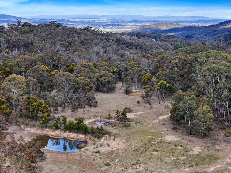 1026 Taralga Road, Tarlo Goulburn NSW 2580 - Image 2