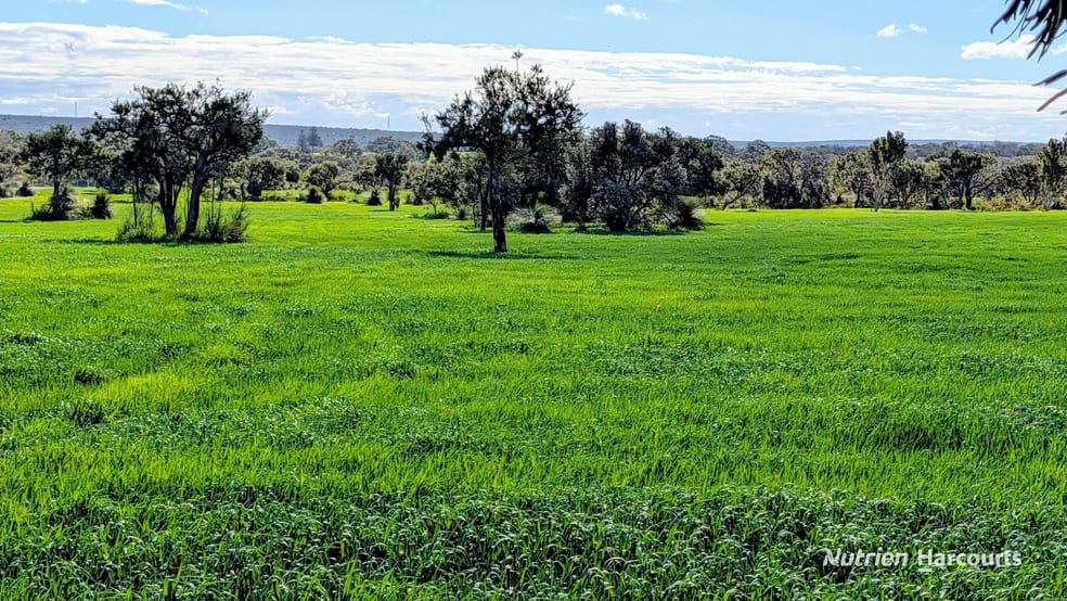 Lot 9818 Telephone Road Neergabby WA 6503 - Image 3