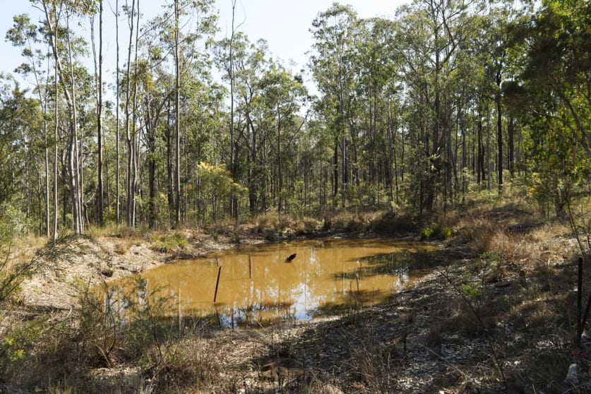 853 Ramornie Station Road Ramornie NSW 2460 - Image 2
