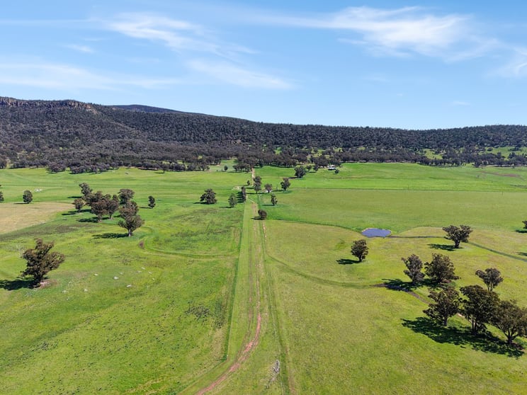 223 Rodwells Road Murga NSW 2864 - Image 3