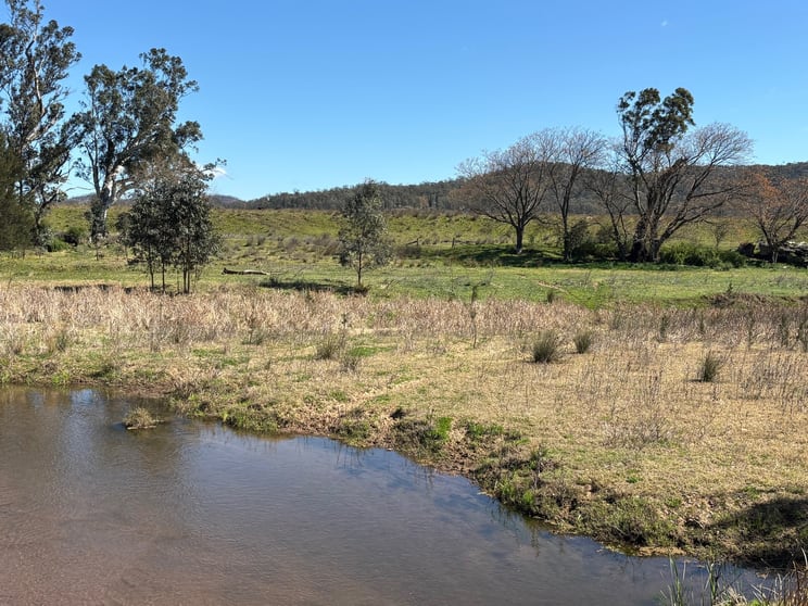 560 Mt Dangar Road Baerami NSW 2333 - Image 3