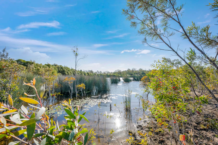 Click to view all images 13/ Barnards Road, Mooreland Moorland QLD 4670 - Image 3